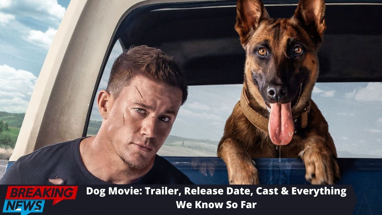 Dog Movie: Trailer, Release Date, Cast & Everything We Know So Far