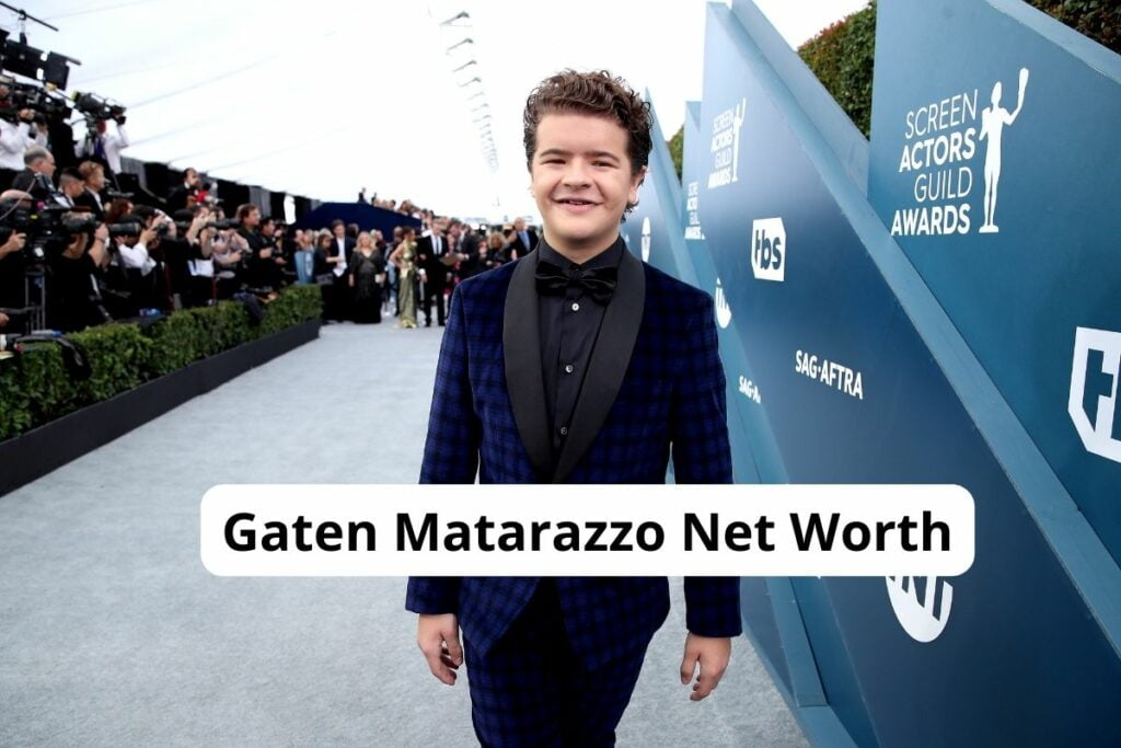 Gaten Matarazzo Net Worth