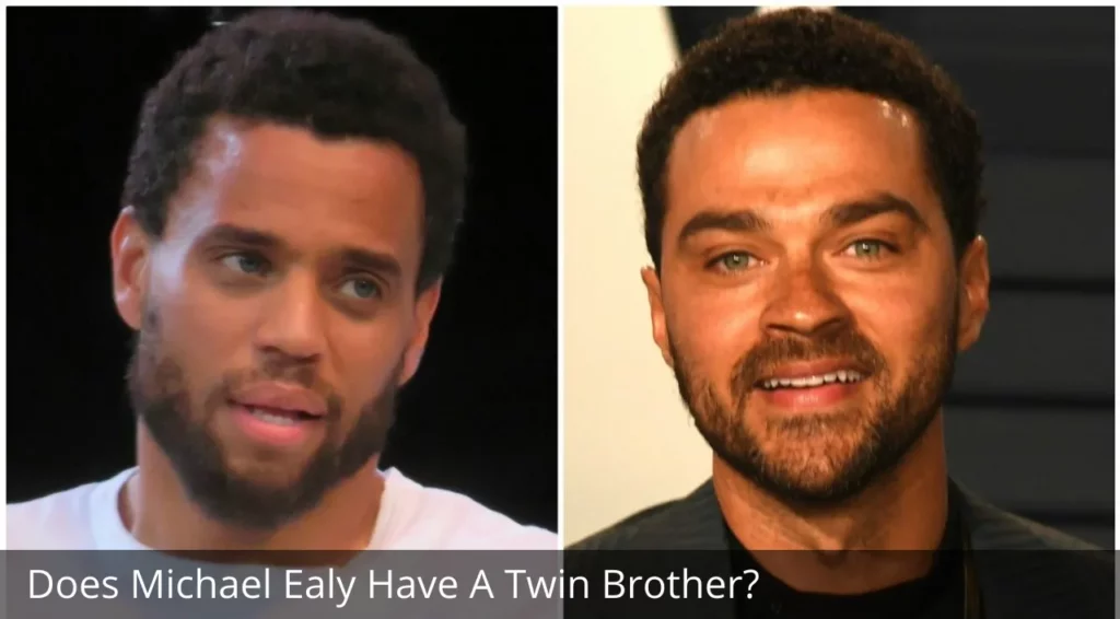Does Michael Ealy Have A Twin Brother