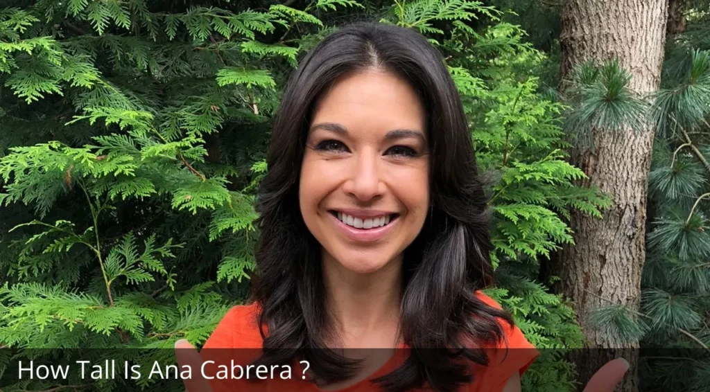 How Tall Is Ana Cabrera