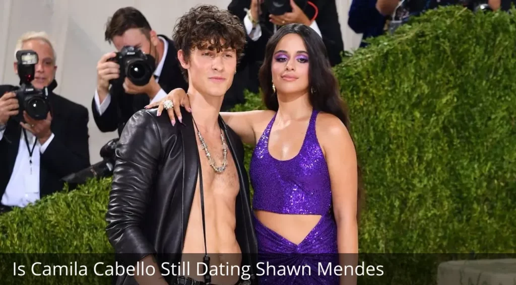 Is Camila Cabello Still Dating Shawn Mendes