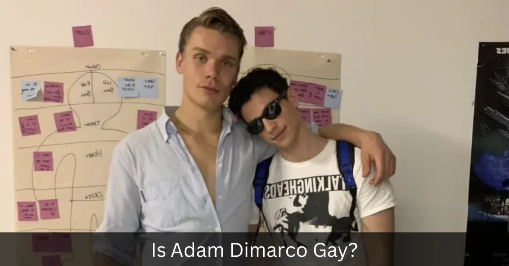 Is Adam Dimarco Gay