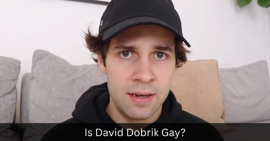 Is David Dobrik Gay