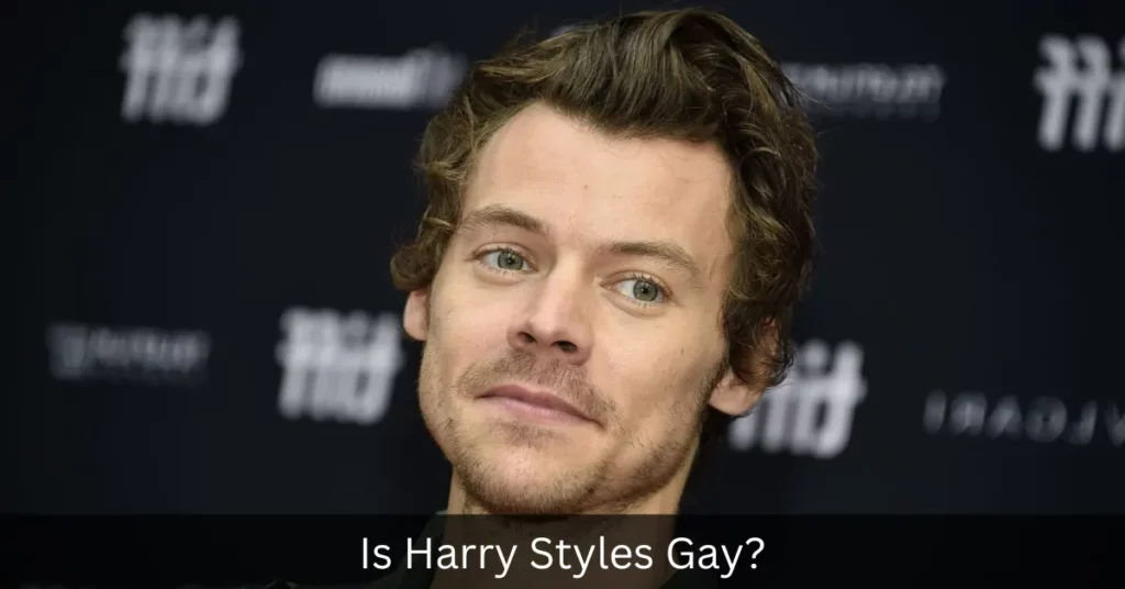 Is Harry Styles Gay