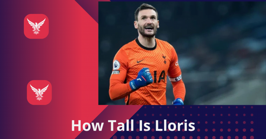 How Tall Is Lloris