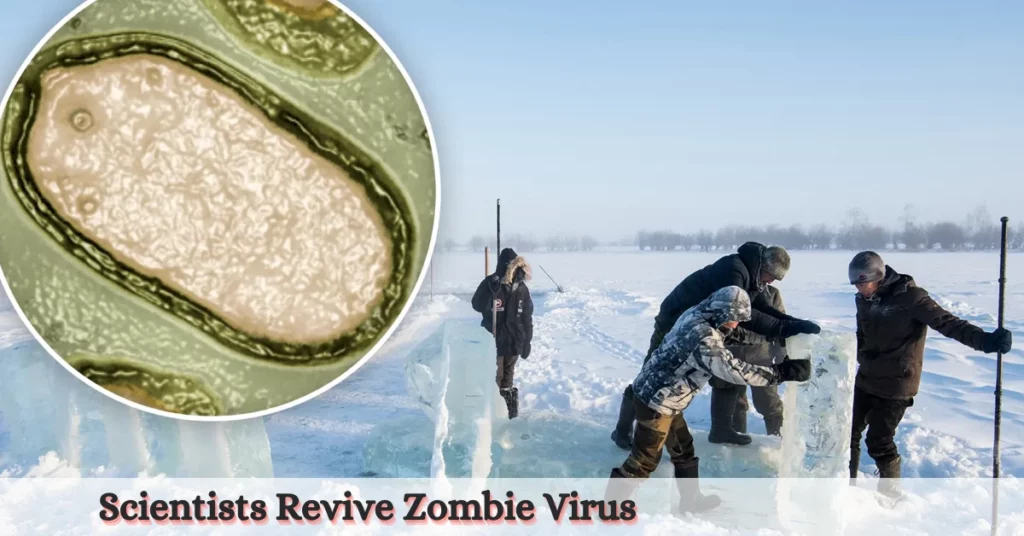 Scientists Revive Zombie Virus