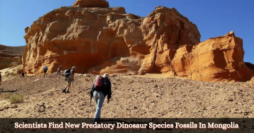 Scientists Find New Predatory Dinosaur Species Fossils In Mongolia