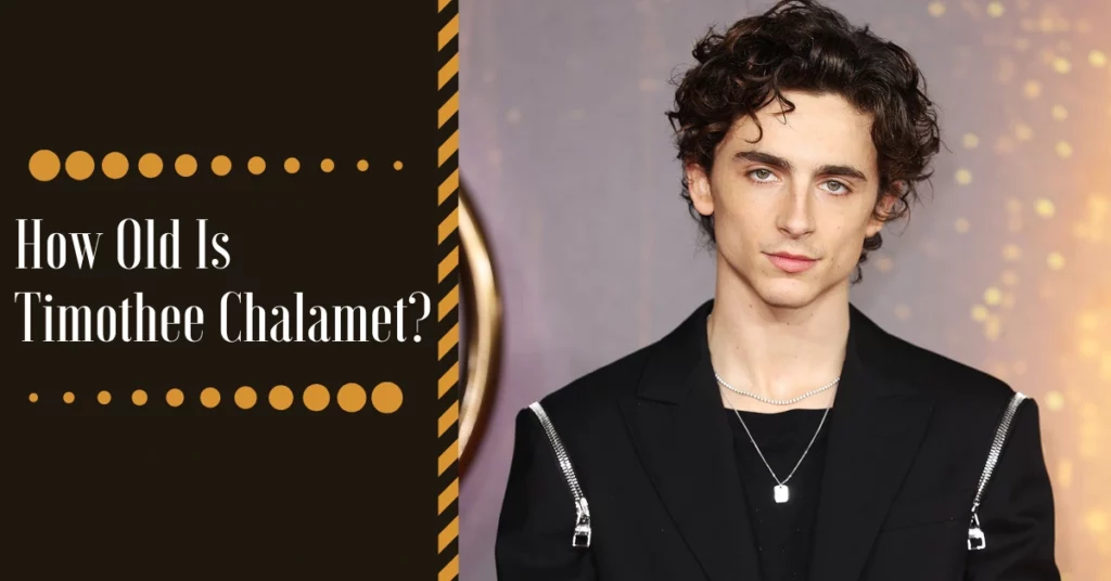 How Old Is Timothee Chalamet?