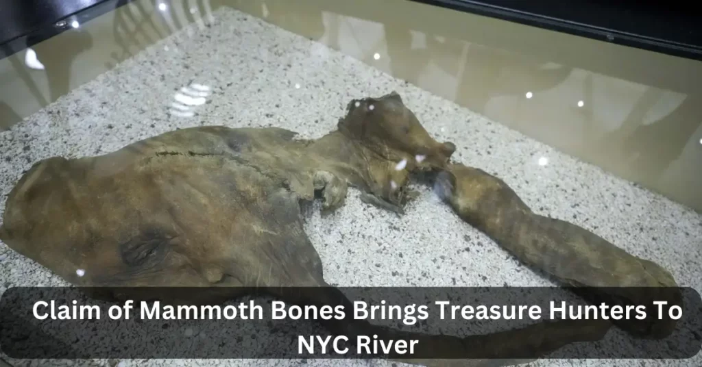 Claim of Mammoth Bones Brings Treasure Hunters To NYC River