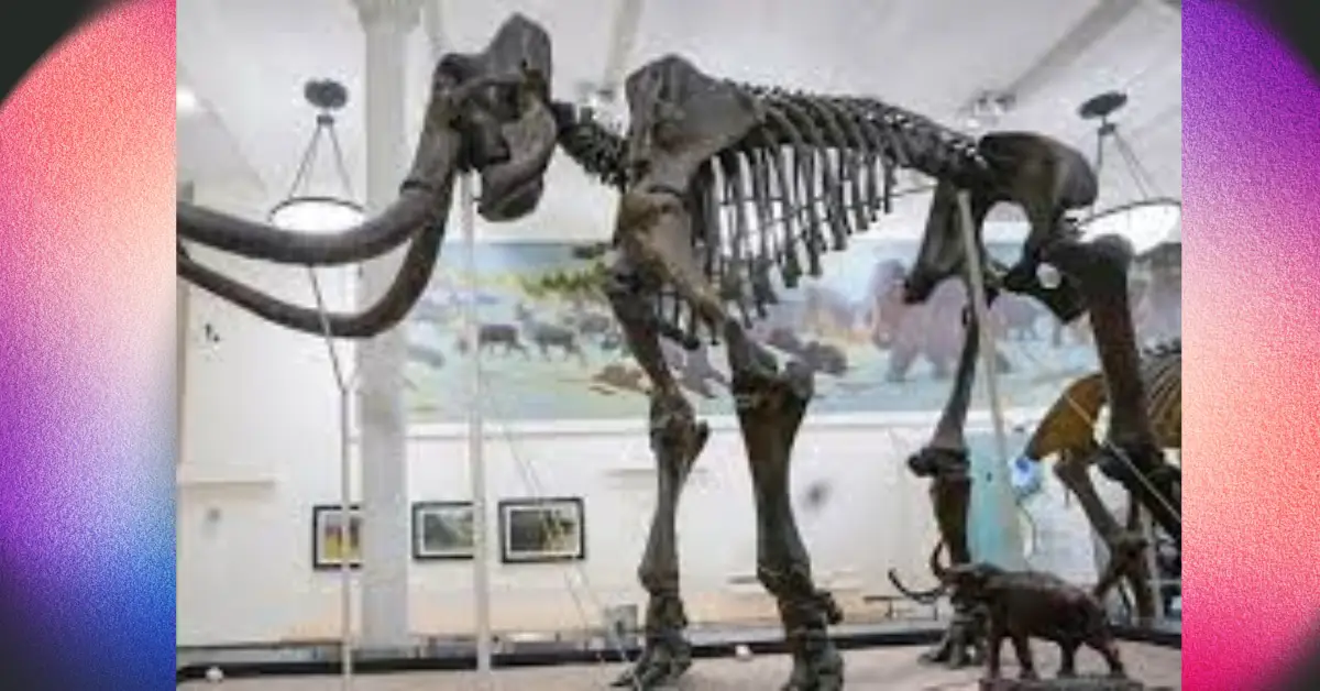 Claim of Mammoth Bones Brings Treasure Hunters To NYC River