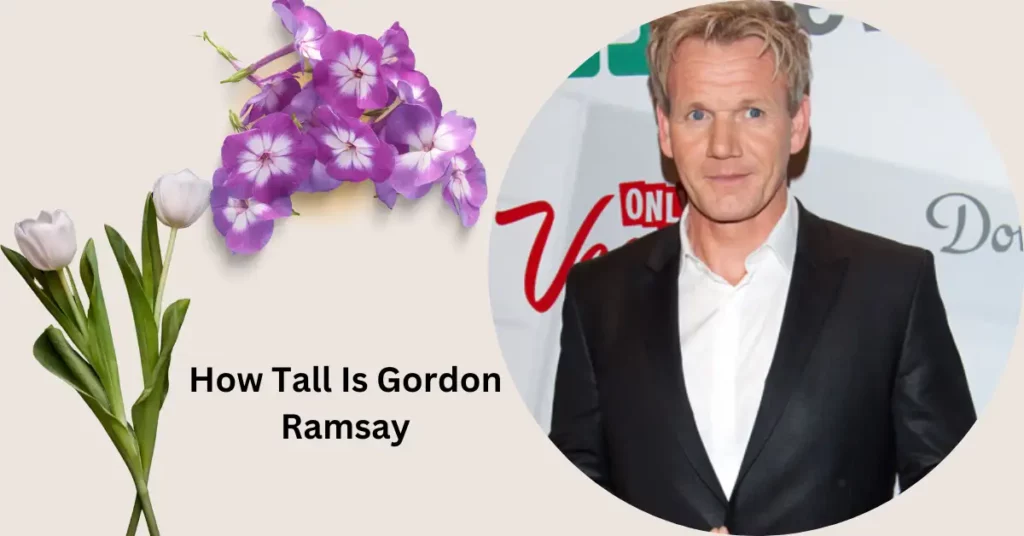 How Tall Is Gordon Ramsay