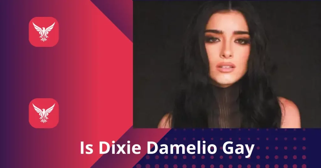 Is Dixie Damelio Gay