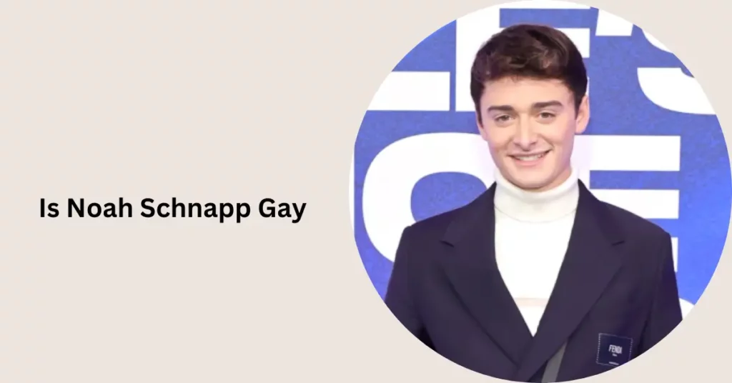 Is Noah Schnapp Gay