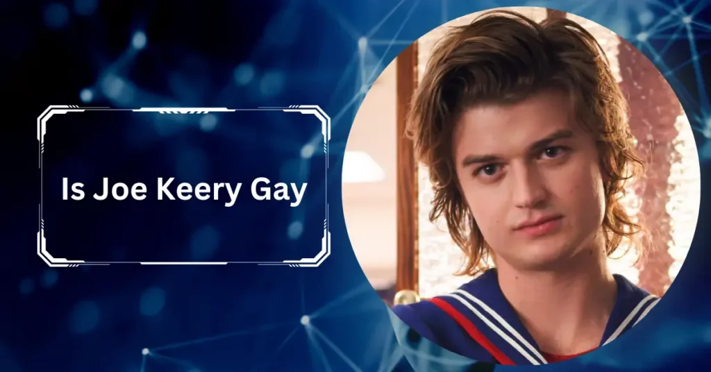 Is Joe Keery Gay