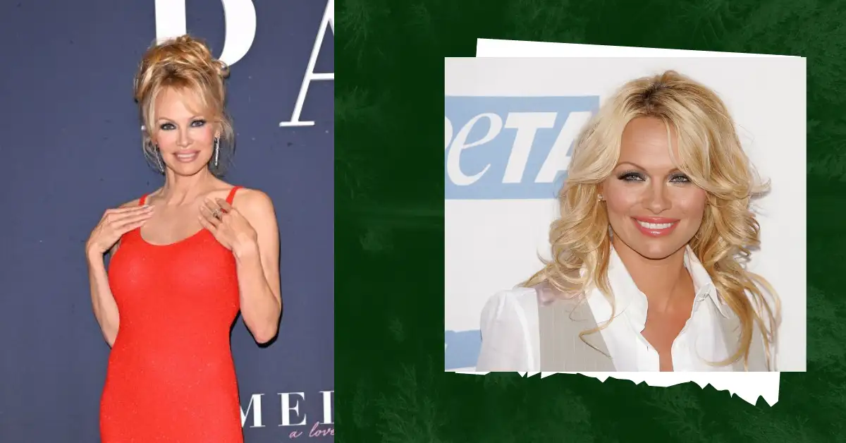 Pamela Anderson Net Worth