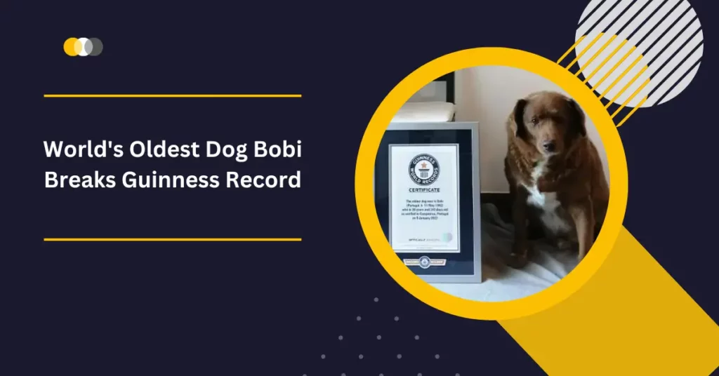 World's Oldest Dog Bobi Breaks Guinness Record