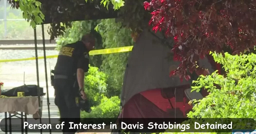 Person of Interest in Davis Stabbings Detained