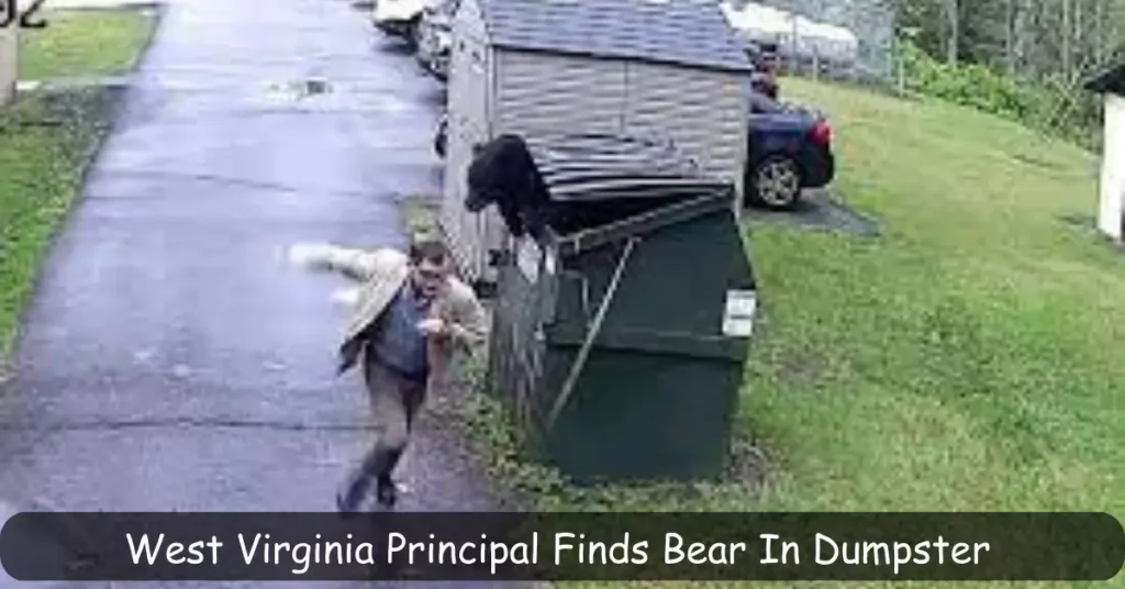 West Virginia Principal Finds Bear In Dumpster